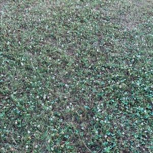 Meet your Posher, Caden